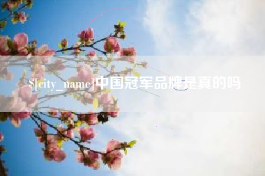 定边中国冠军品牌是真的吗