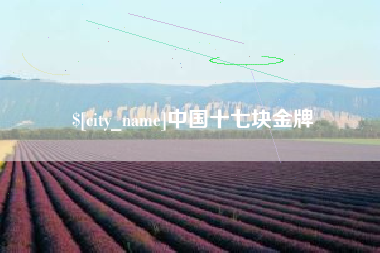 定边中国十七块金牌
