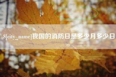 定边我国的消防日是多少月多少日
