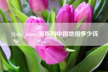 定边新版的中国地图多少钱