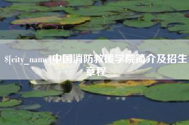 定边中国消防救援学院简介及招生章程