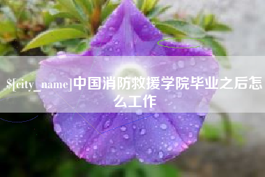 定边中国消防救援学院毕业之后怎么工作