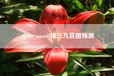 定边排三九宫图预测