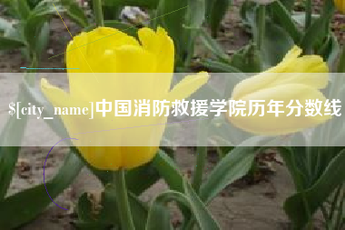 定边中国消防救援学院历年分数线
