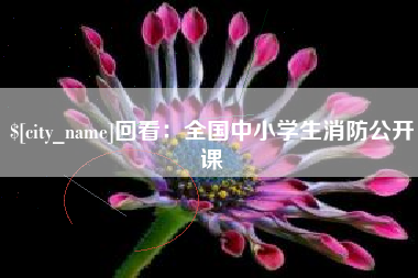 定边回看：全国中小学生消防公开课