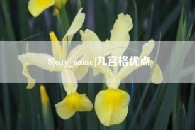 定边九宫格优点