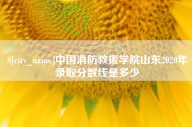 定边中国消防救援学院山东2020年录取分数线是多少