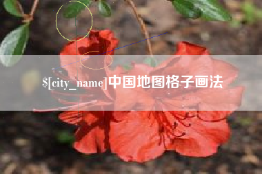 定边中国地图格子画法