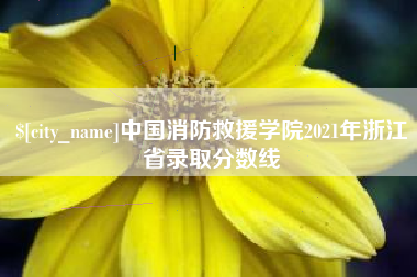 定边中国消防救援学院2021年浙江省录取分数线