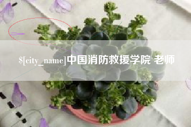 定边中国消防救援学院 老师