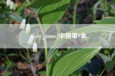 定边中国第9金