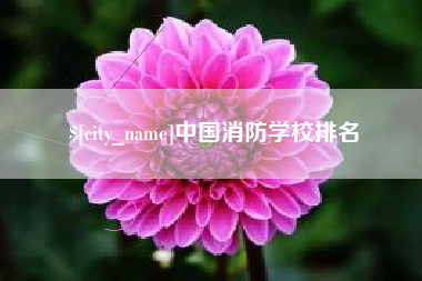 定边中国消防学校排名