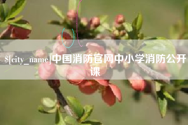 定边中国消防官网中小学消防公开课