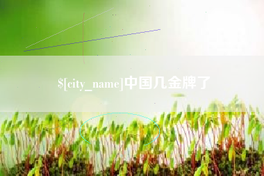 定边中国几金牌了