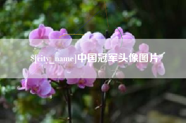定边中国冠军头像图片