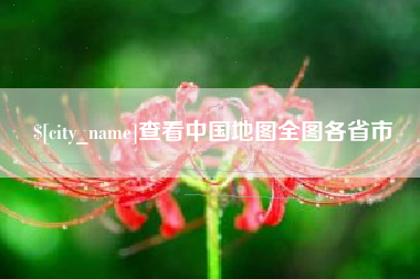 定边查看中国地图全图各省市