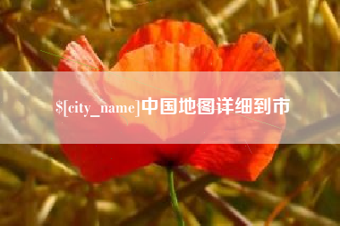 定边中国地图详细到市