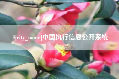 定边中国执行信息公开系统