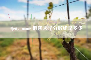 定边消防大学分数线是多少