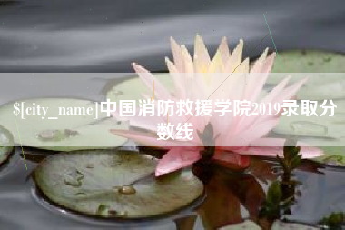 定边中国消防救援学院2019录取分数线