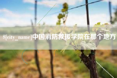 定边中国消防救援学院在那个地方