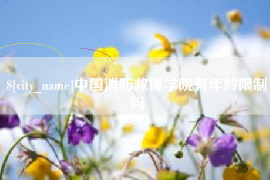 定边中国消防救援学院有年龄限制吗