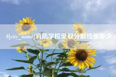 定边消防学校录取分数线是多少
