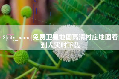 定边免费卫星地图高清村庄地图看到人实时下载