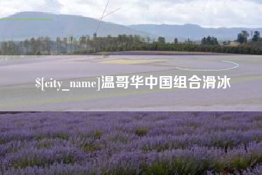 定边温哥华中国组合滑冰