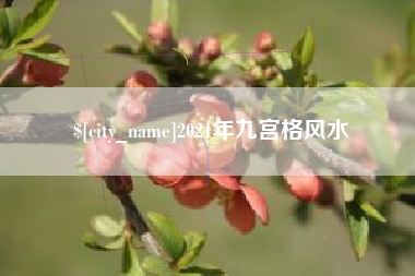 定边2021年九宫格风水