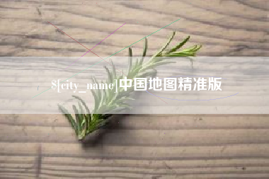 定边中国地图精准版