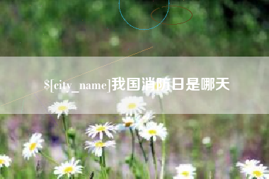 定边我国消防日是哪天
