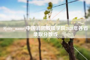定边中国消防救援学院2020年各省录取分数线