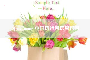 定边中国执行网信息官网