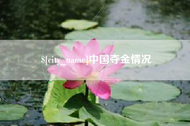 定边中国夺金情况