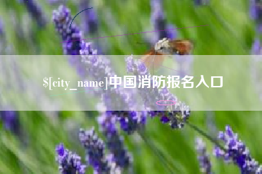 定边中国消防报名入口