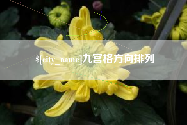 定边九宫格方向排列