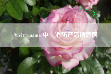 定边中囯消防产品信息网