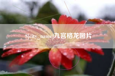 定边九宫格龙图片
