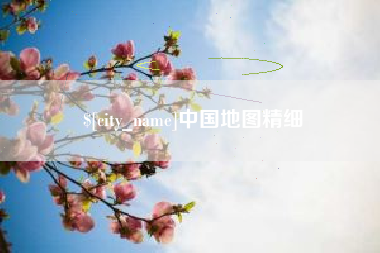 定边中国地图精细