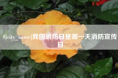 定边我国消防日是哪一天消防宣传日