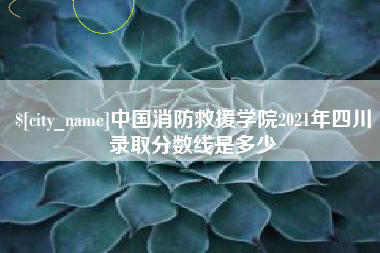 定边中国消防救援学院2021年四川录取分数线是多少