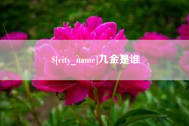 定边九金是谁