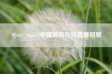 定边中国消防在线直播回放
