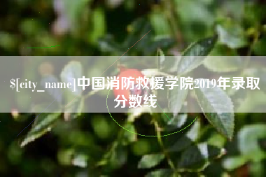定边中国消防救援学院2019年录取分数线