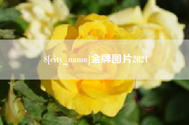 定边金牌图片2021