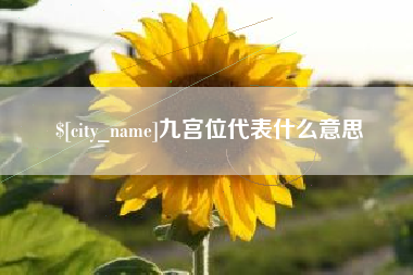 定边九宫位代表什么意思