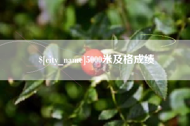 定边5000米及格成绩