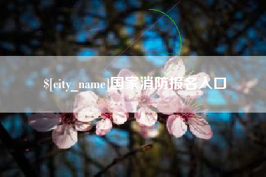 定边国家消防报名入口