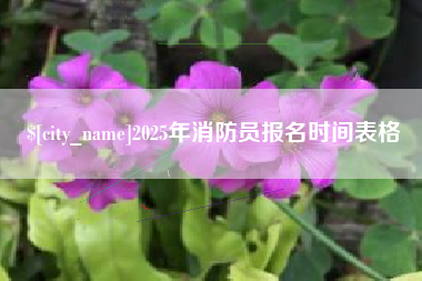 定边2025年消防员报名时间表格